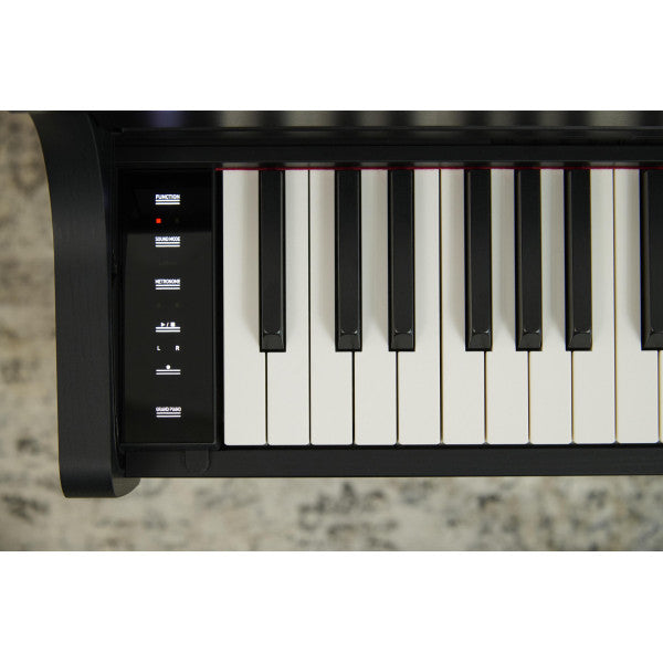 Casio AP-300BK Celviano Digital Piano Black
