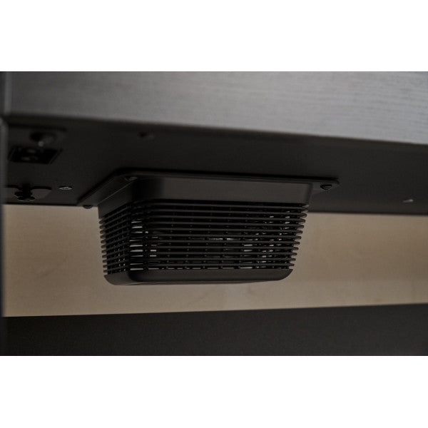 Casio AP-S200BK Celviano Digital Piano Black