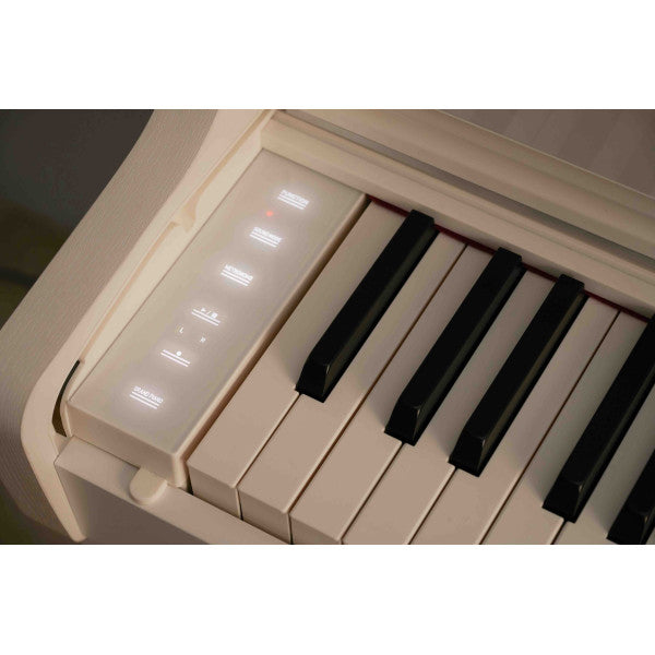 Casio AP-550 WH Smart Hybrid Celviano